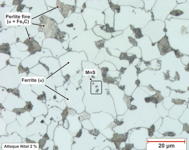 capture d’écran 2026 03 06 110533